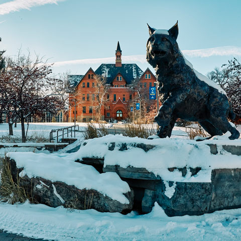 Outdoor shot of Alumni Plaza with Spirit the bobcat sculpture and Montana Hall