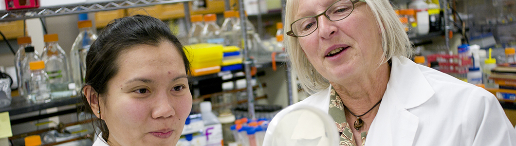 Two scientists in white coats consider the contents of a petri dish.