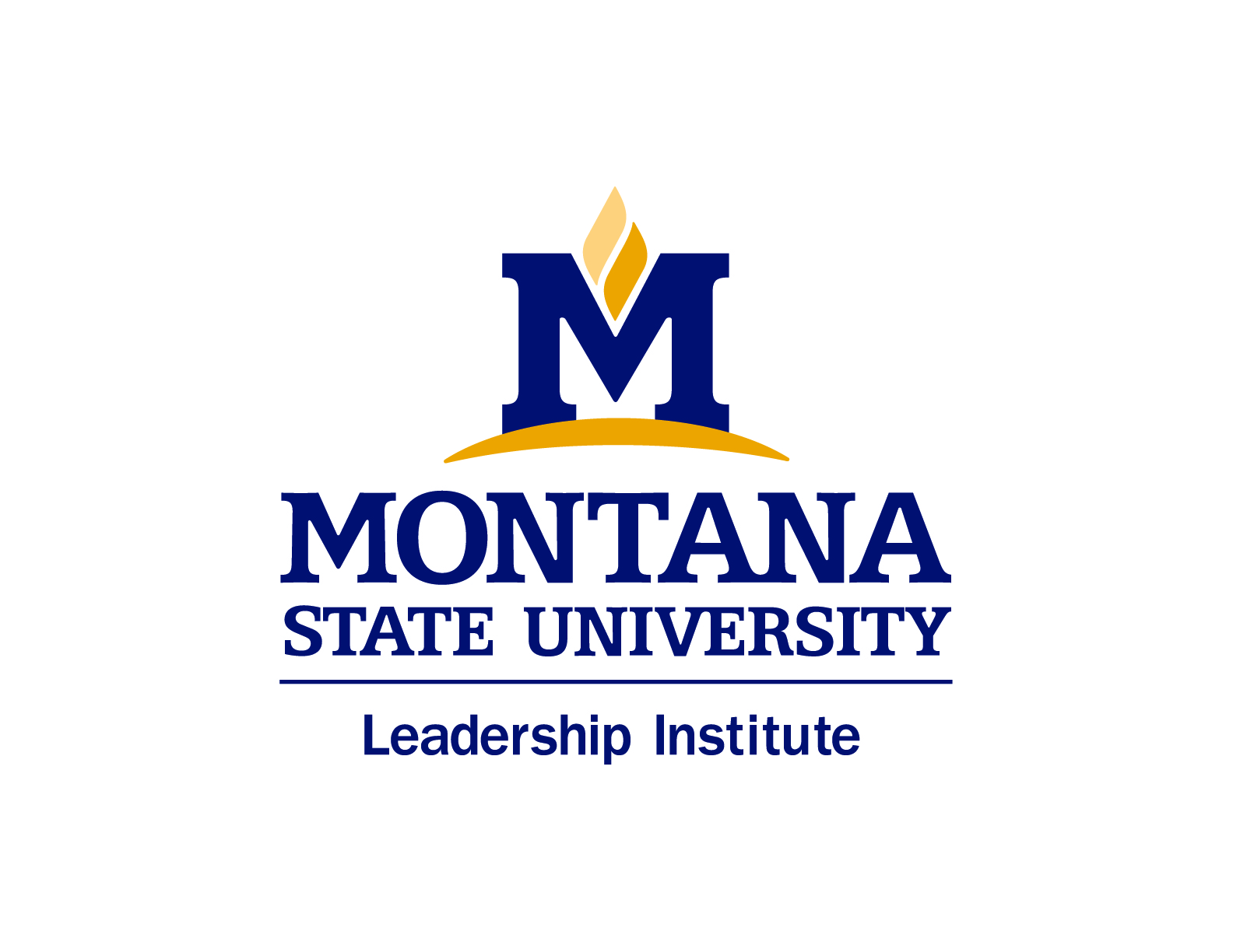 Leadership Institute logo Leadership Institute logo