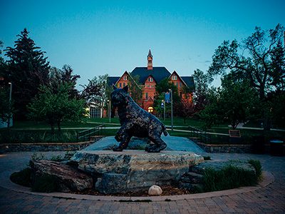 Champ The Bobcat Statue Champ The Bobcat Statue