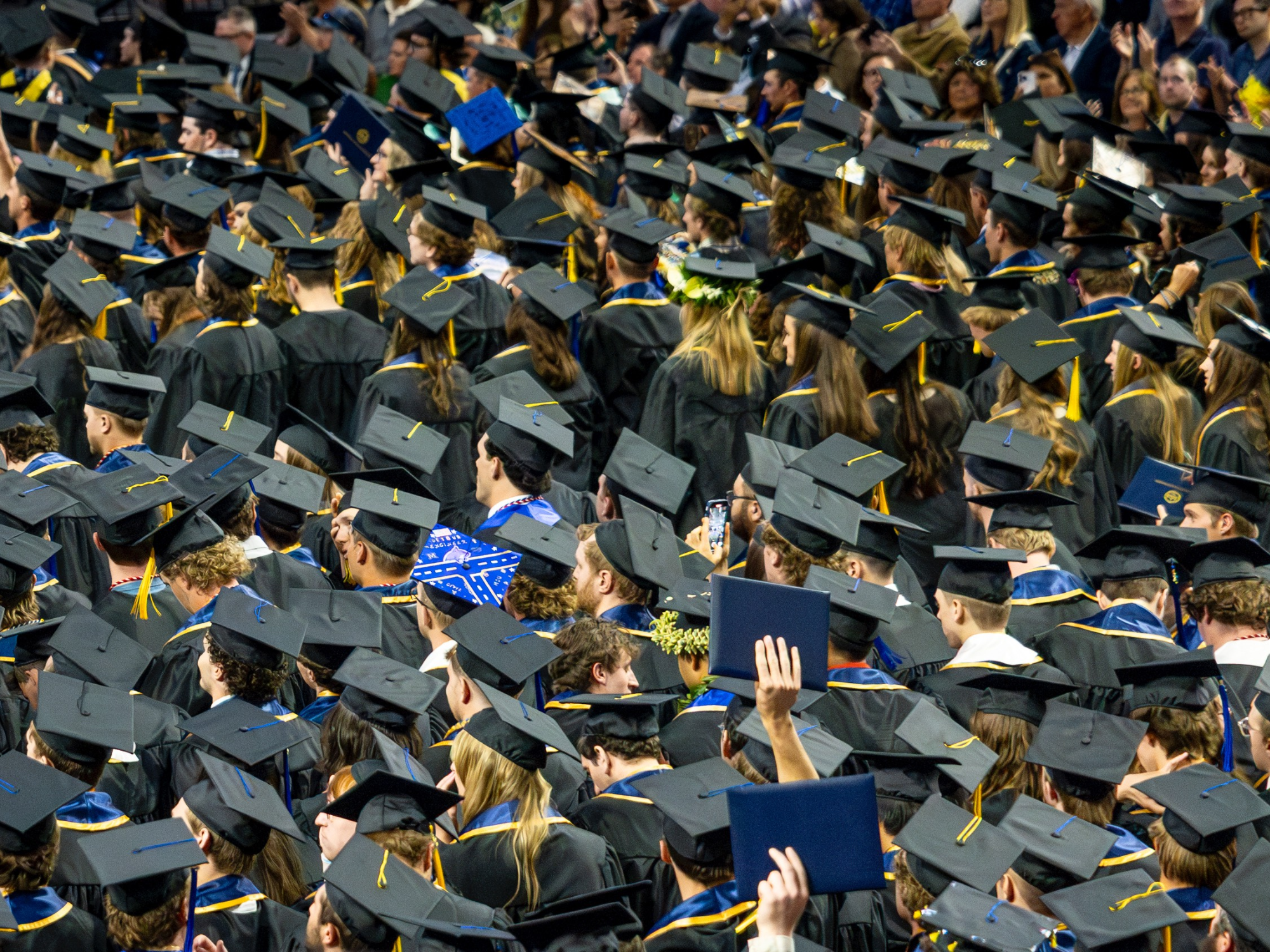 Learn about Degrees 