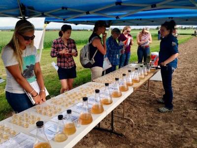 feild day wort Field day wort tasting. We were so excited to showcase hot steeps of 12 different varieties right next to where they grew in the field!