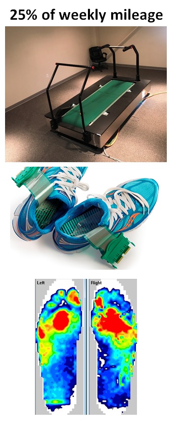 Treadmill and plantar pressure insoles Treadmill and plantar pressure insoles