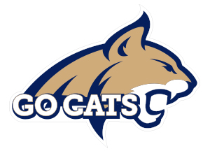 Go Cats window sign