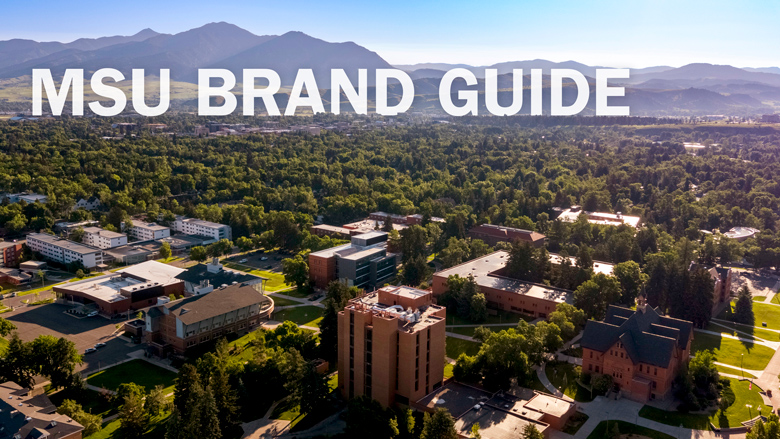 MSU Brand Guide MSU Brand Guide