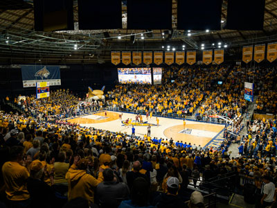 Bobcat Men's Basketball