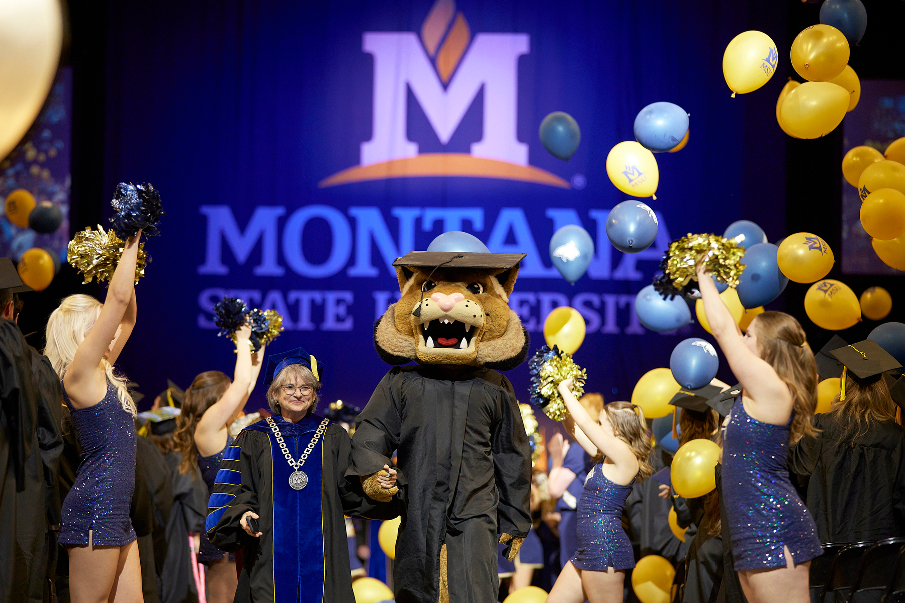 Waded Cruzado and Champ walking past cheerleaders at graduation Graduation ceremony photo with woman with short hair in cap and robe walking with Champ the Bobcat mascot wearing a cap and gown, walking through cheerleaders wearing blue and gold and the Montana State logo in the background