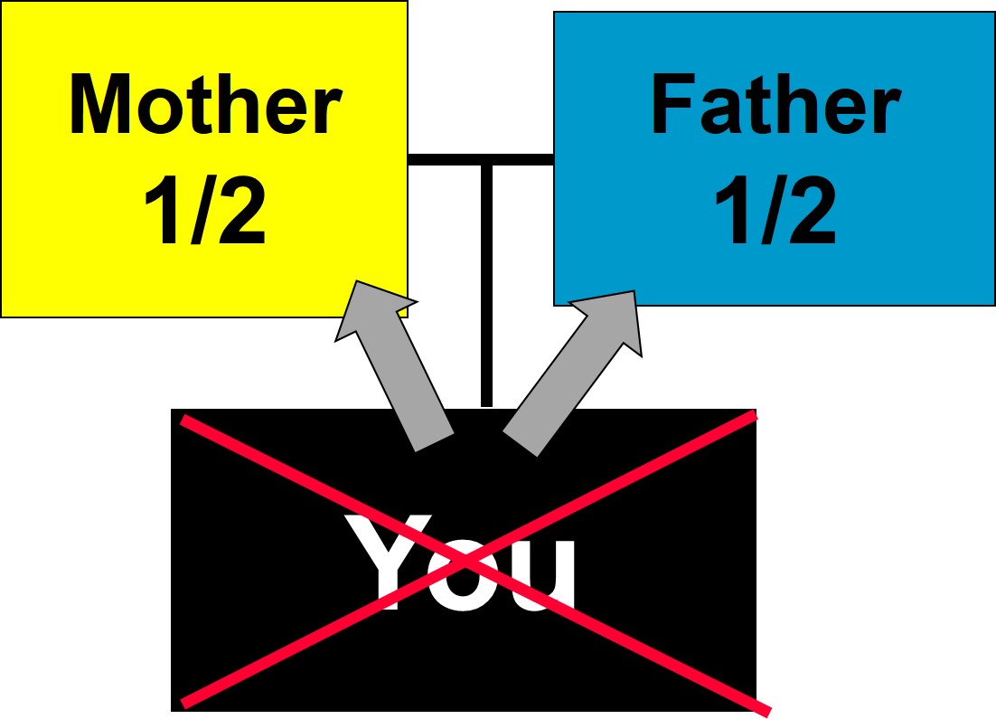 Single: Situation 1 Example 1