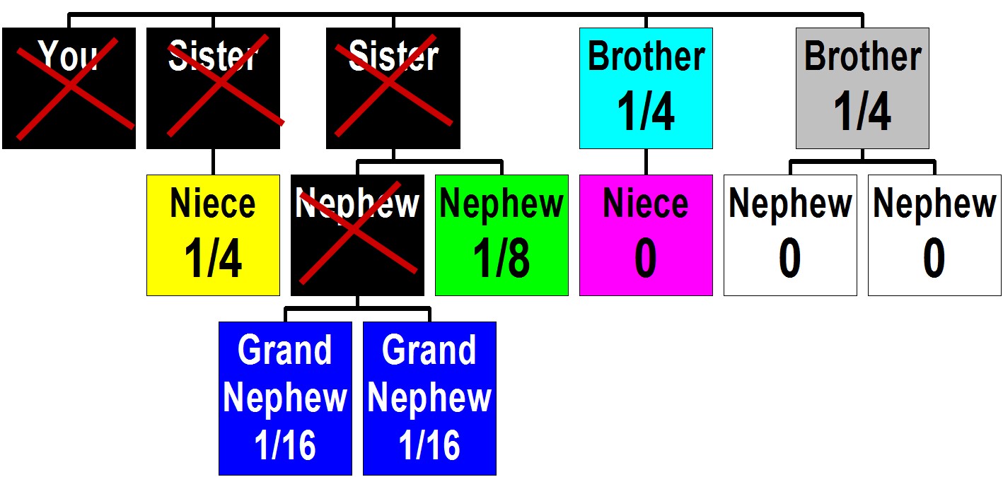 Single: No Living Children (Example 2)