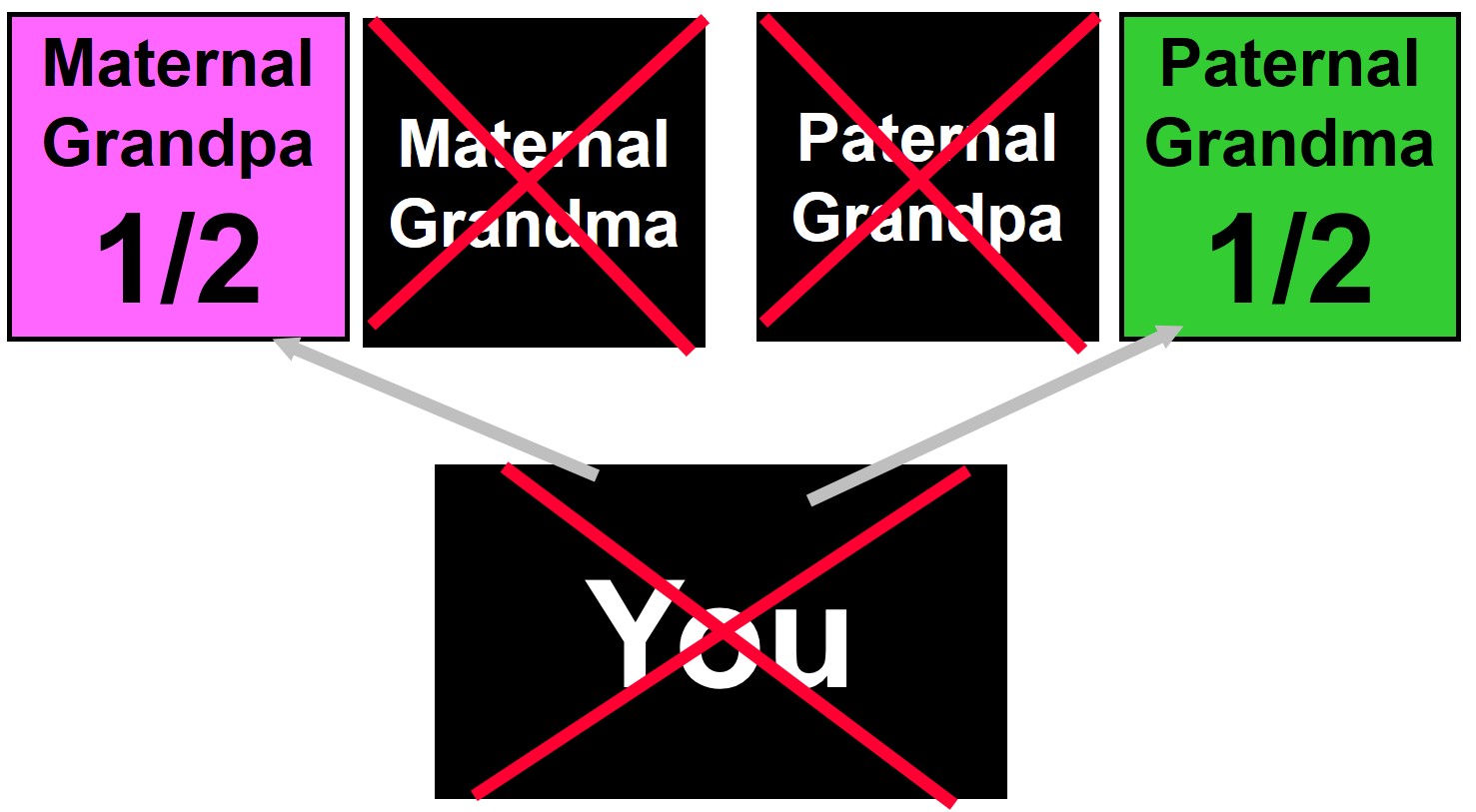 Single No Living Children: Example 5B