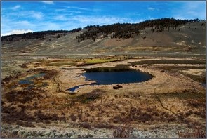 BlackTail Pond, YNP Image of Blacktail Pond, Yellowstone National Park