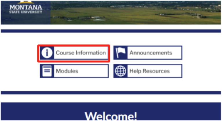 MSU-Branded Homepage buttons with course information button outlined in red.&nbsp;