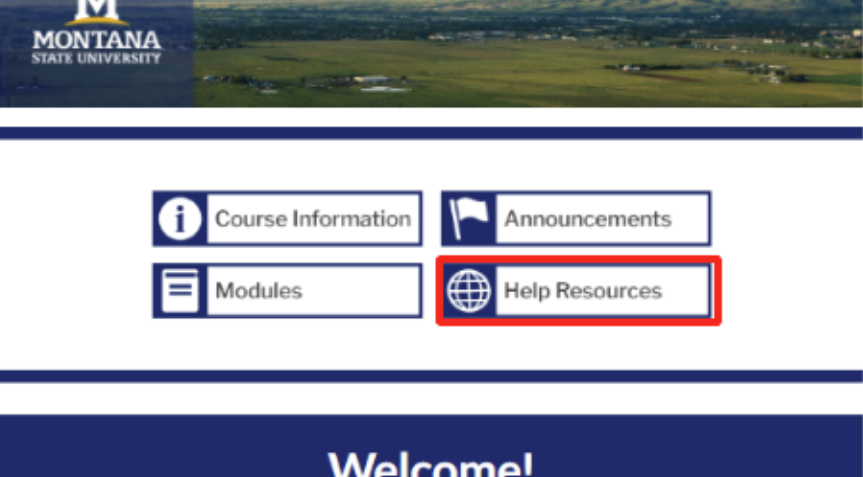  MSU-Branded homepage buttons with help resources outlined in red.&nbsp;