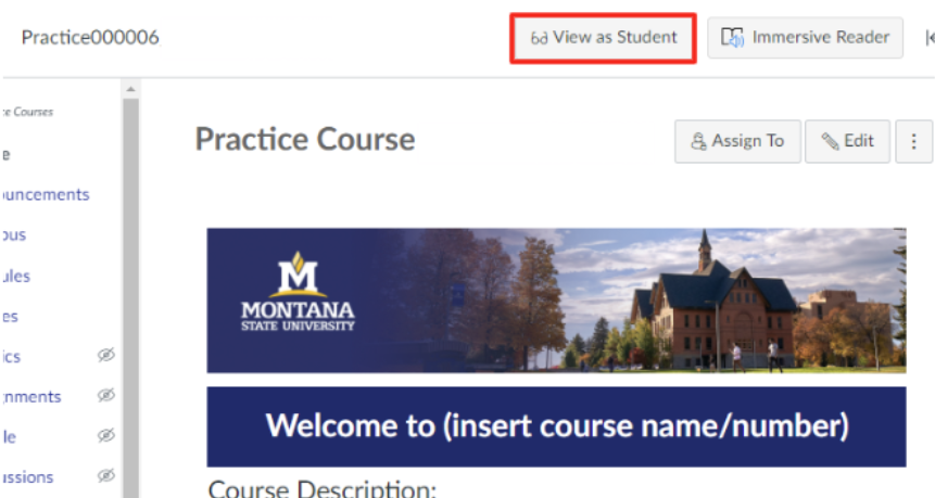 MSU Branded Canvas home page with "view as student" button in top right corner outlined in red.&nbsp;