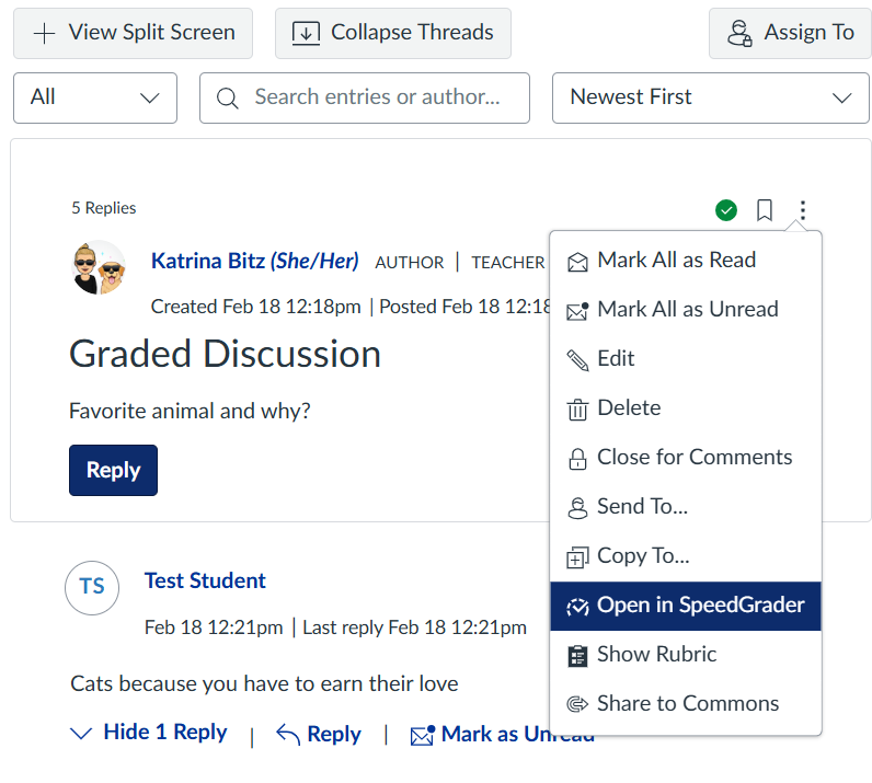 discussion menu with options for speedgrader and add a rubric