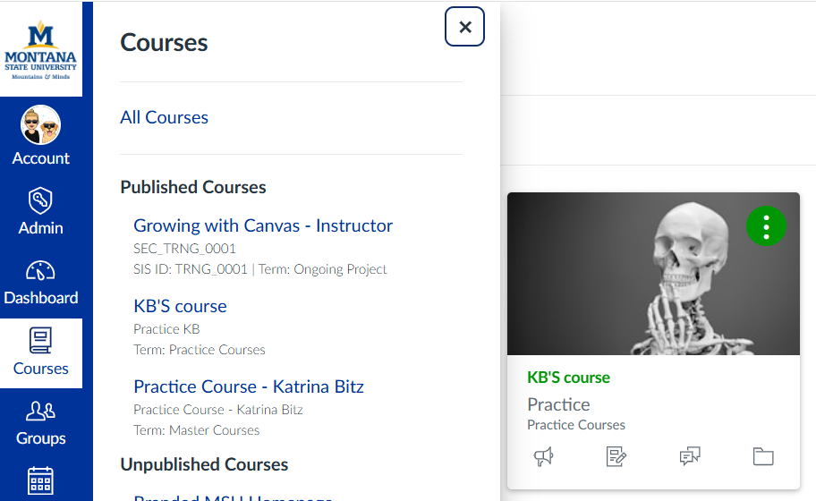 Courses/All Courses Canvas dashboard with blue global navigation bar on the left side with the icon courses in focus and a pop out menu with a list of courses