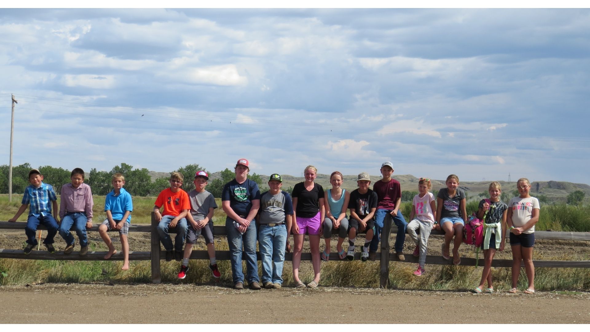 a 4-H club sitting on a fence