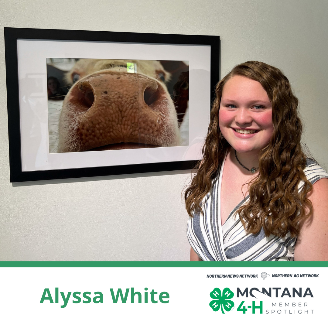 Alyssa White Alyssa White