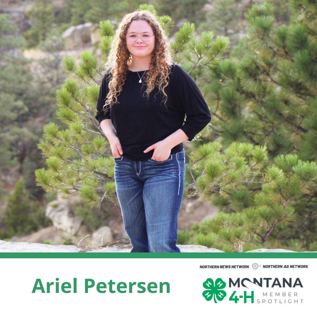 Ariel Petersen Ariel Petersen