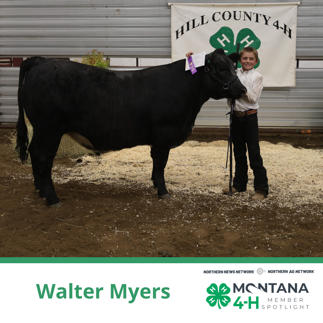 Walter Myers Walter Myers
