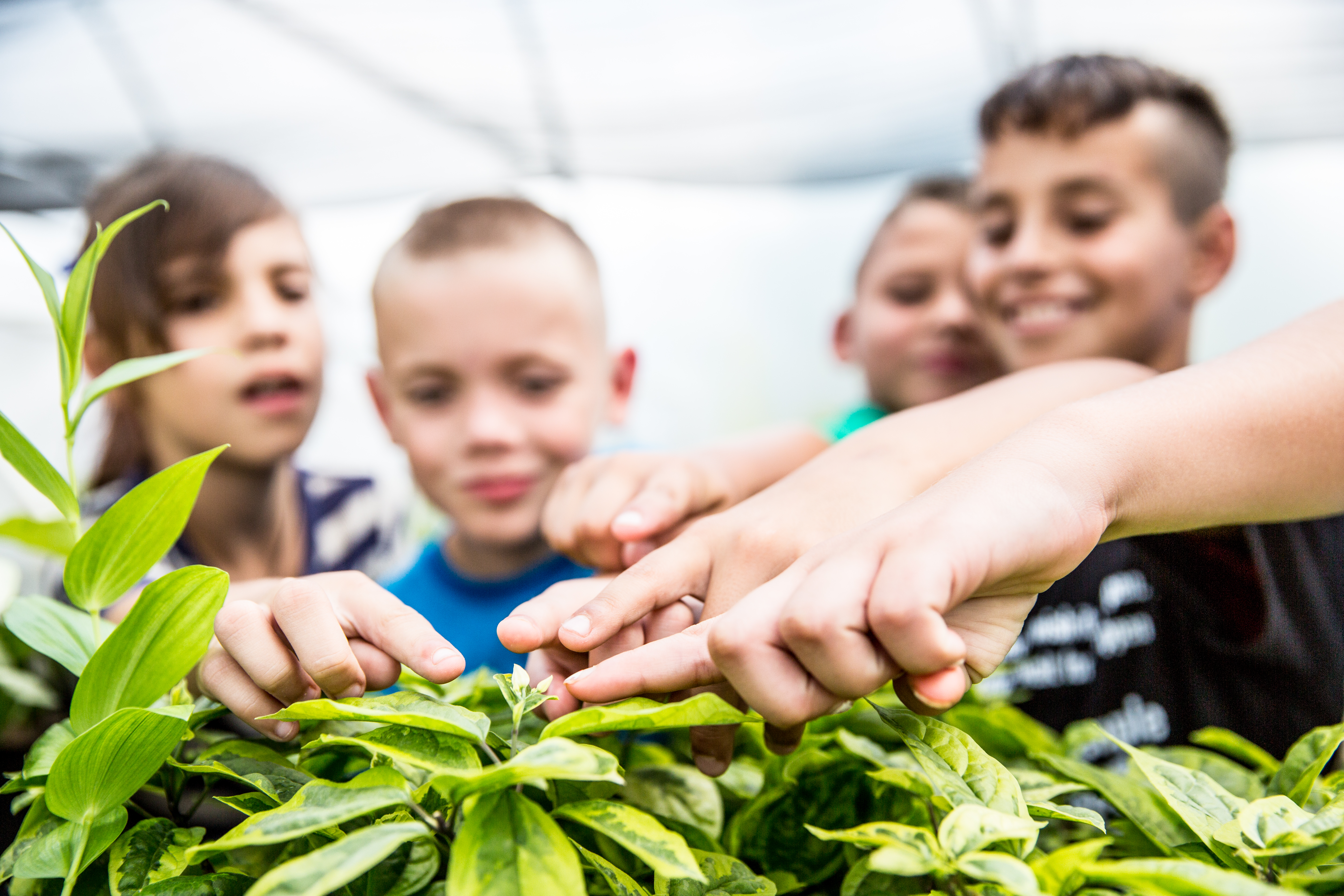 Gardening Youth looking at a plant