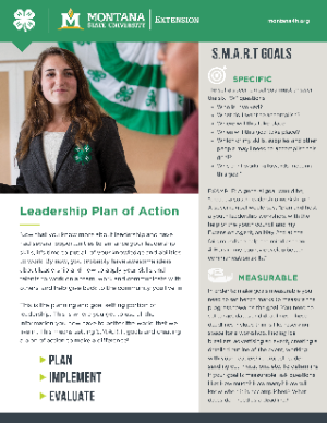 Plan of action leadership lesson plan image of front page.