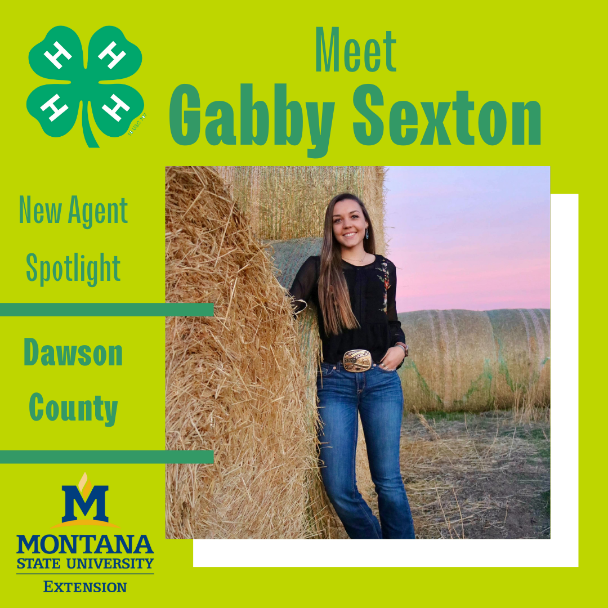 Gabby Sexton Gabby Sexton