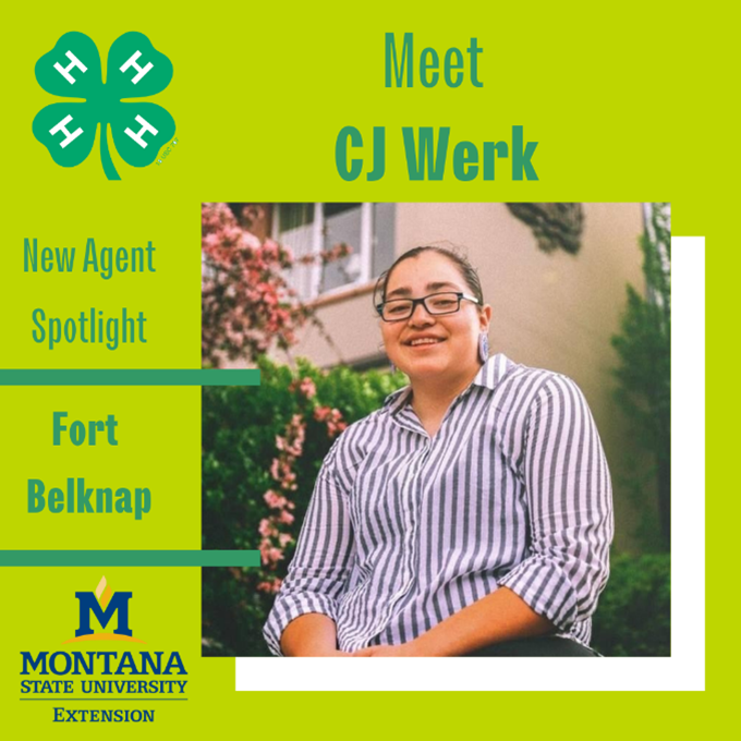 CJ Werk CJ Werk