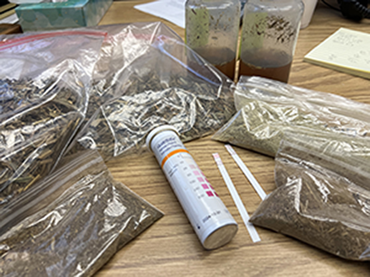 Nitrate Testing of Forages