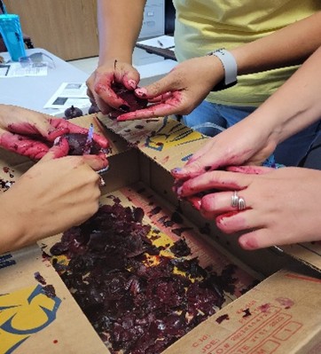 Preserving beets