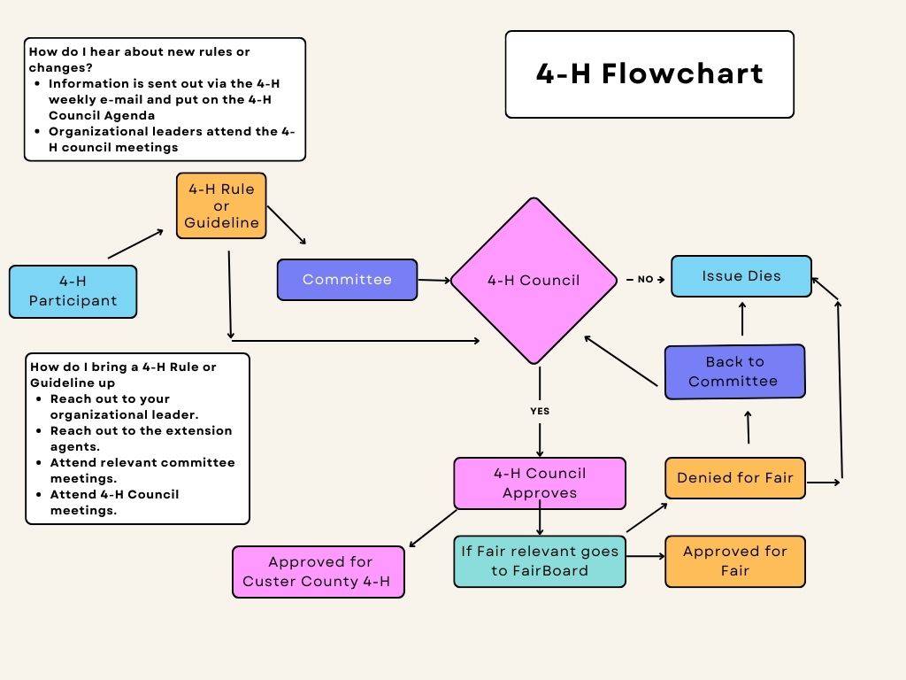 Rule Flow Chart A visual representation of how a rule is established. Please refer to the November newsletter for description of process.