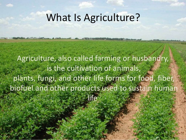 agriculture What is agriculture? Agriculture, also called farming or husbandry, is the cultivation of animals, plants, fungi, and other life forms for food, fiber, biofuel and other products used to sustain human life