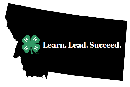 learn lead succeed MT Learn Lead Succeed
