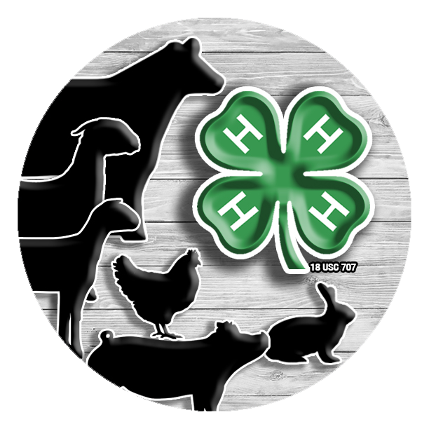 4-H Animal images 4-H Animal images