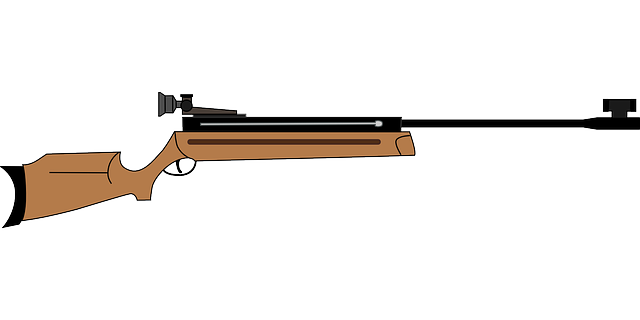 air rifle air rifle