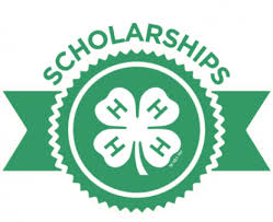 Scholarship 4H button with ribbon Scholarship 4H button with ribbon