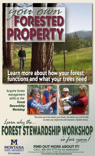 Stewardship Brochure Stewardship Brochure