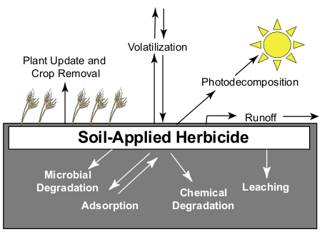 Basic concepts of soil-applied herbicides Overview of factors that influence soil-applied herbicides