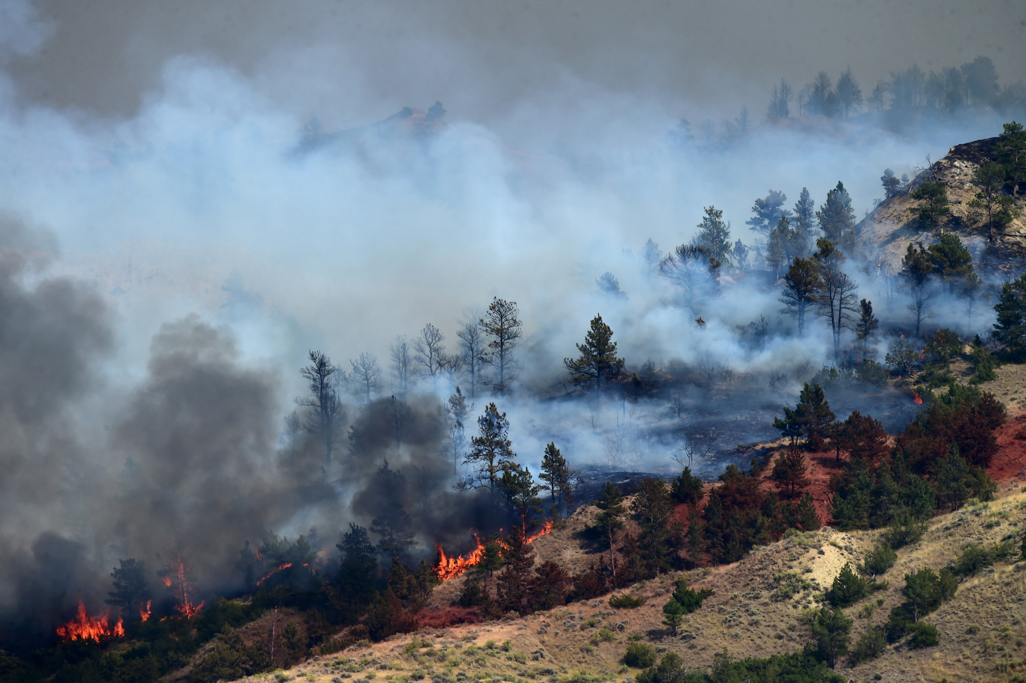 Montana Wildfire Montana Wildfire