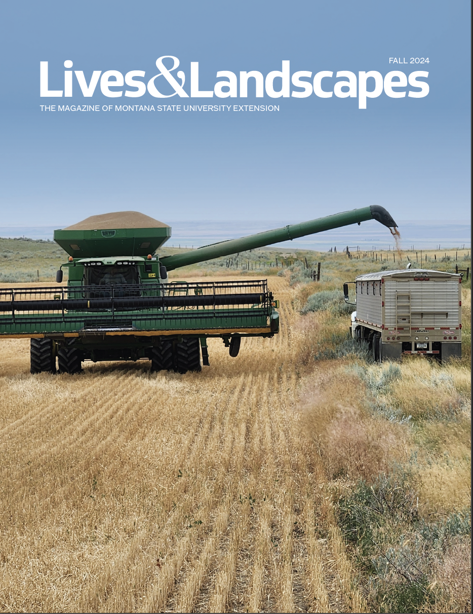 A combine harvester driving through a field deposits grain into container truck.