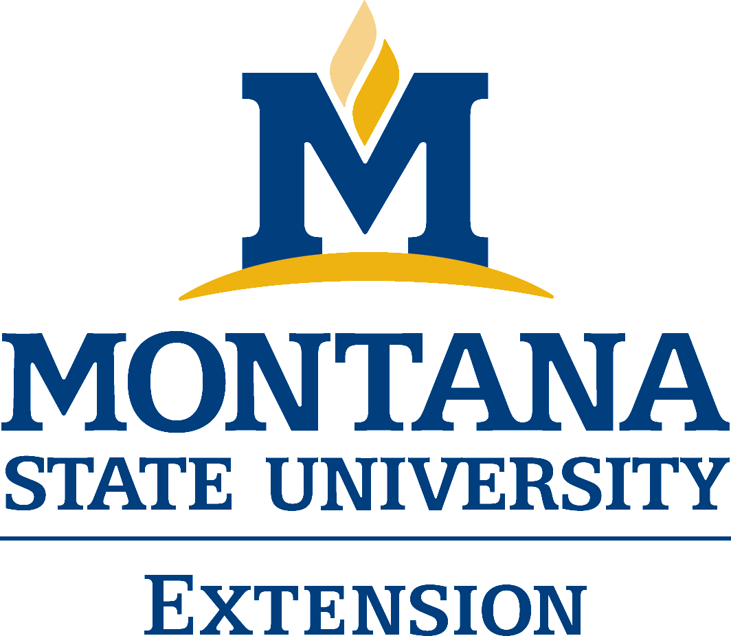 Extension Logo