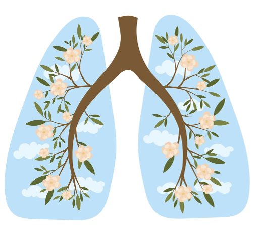 Puppy lungs graphic