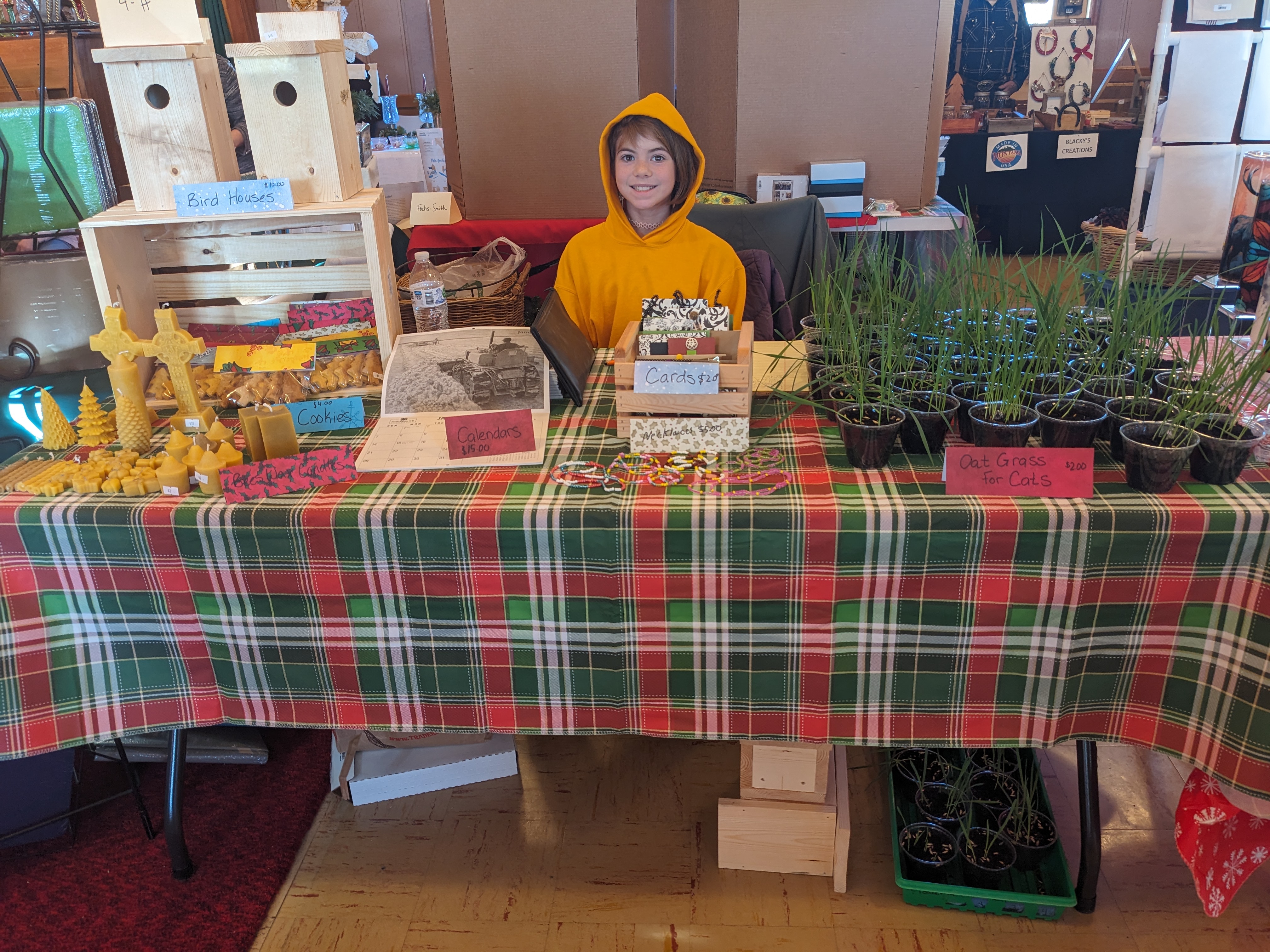 4-H Craft Fair Table After Parade Fudgesicle