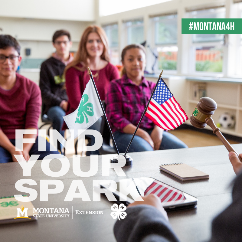 4-H members and flags kids and flags