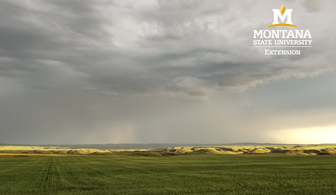 MSU Extension Logo with Photo Storm on the plains with MSU Extension logo