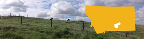 Landscape w/state image and county location