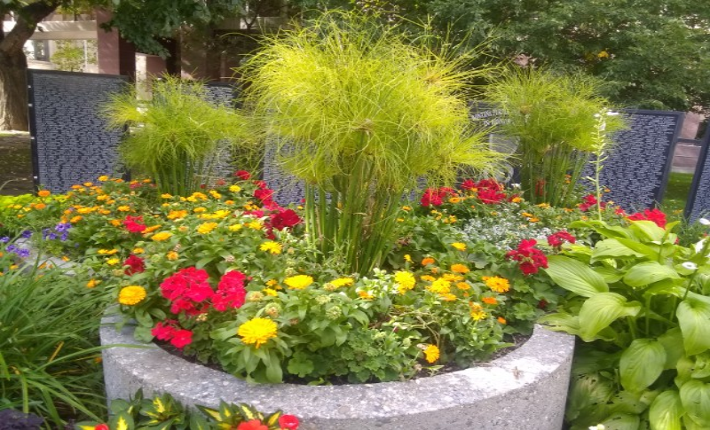 Courthouse Memorial Garden courthouse planter