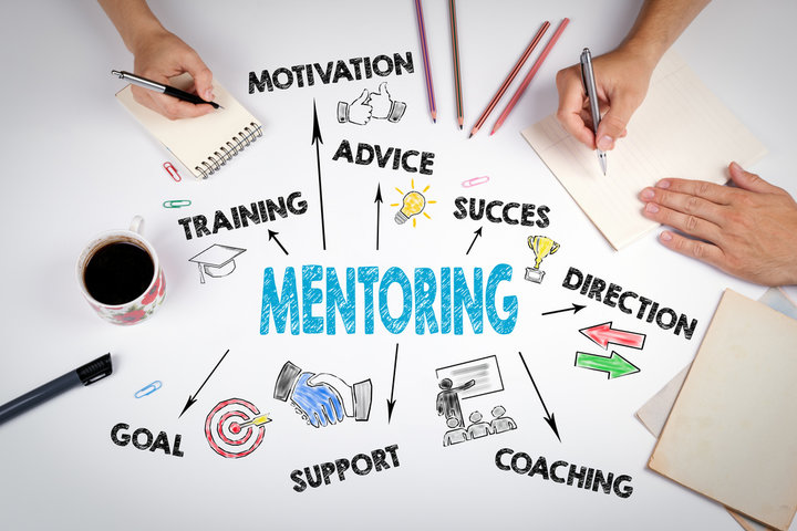 graphic with mentoring in the middle and surrounded by training, advice, success
