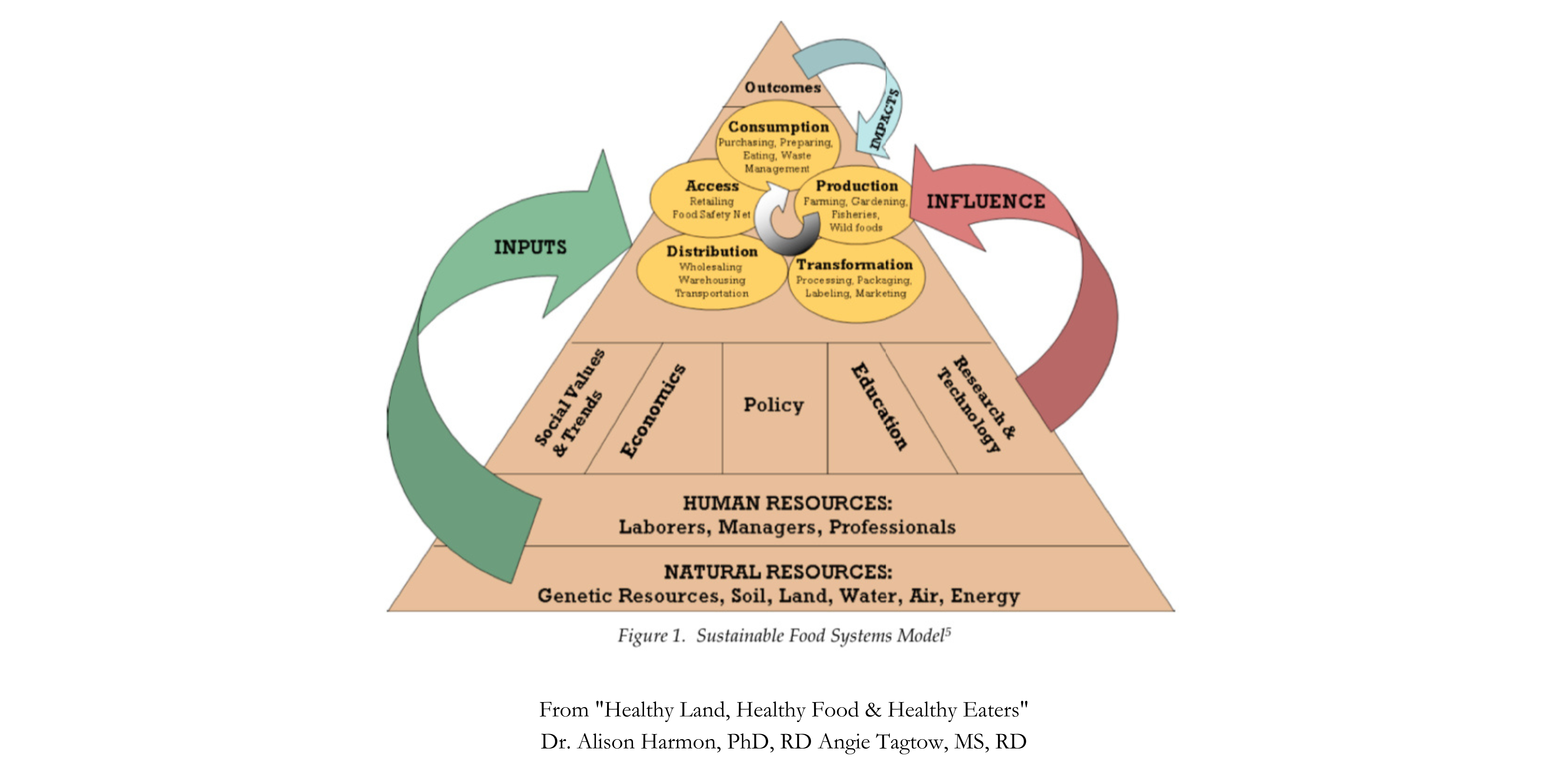 Sustainable Food Systems Model Sustainable Food Systems Model