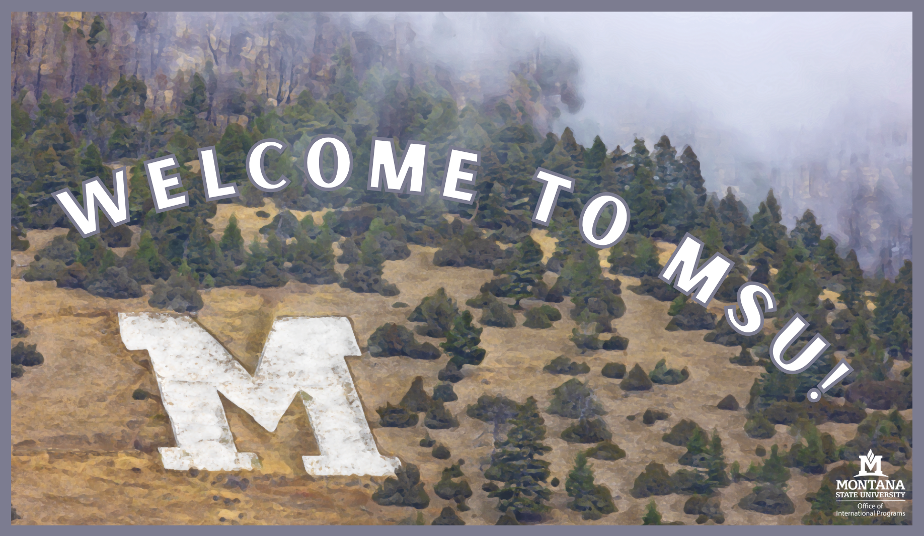 Welcome to MSU!